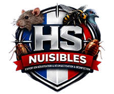 deratisation-desinsectisation-desinfection-93-hs-nuisibles-idf